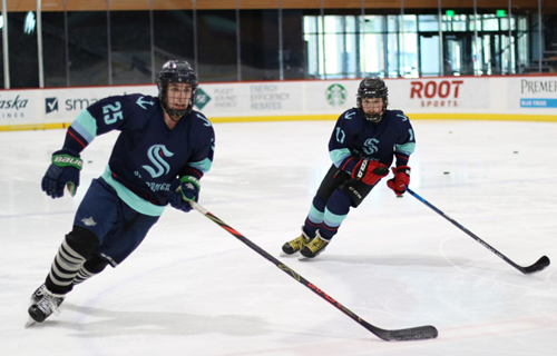 Youth Hockey Leagues
