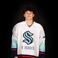 Hamilton 16U AAA