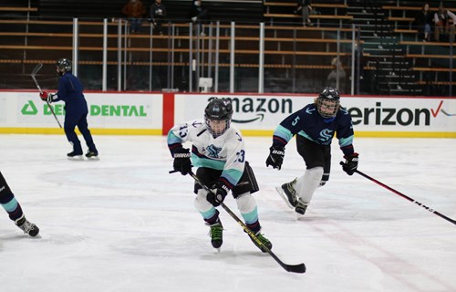 Youth Hockey Leagues 