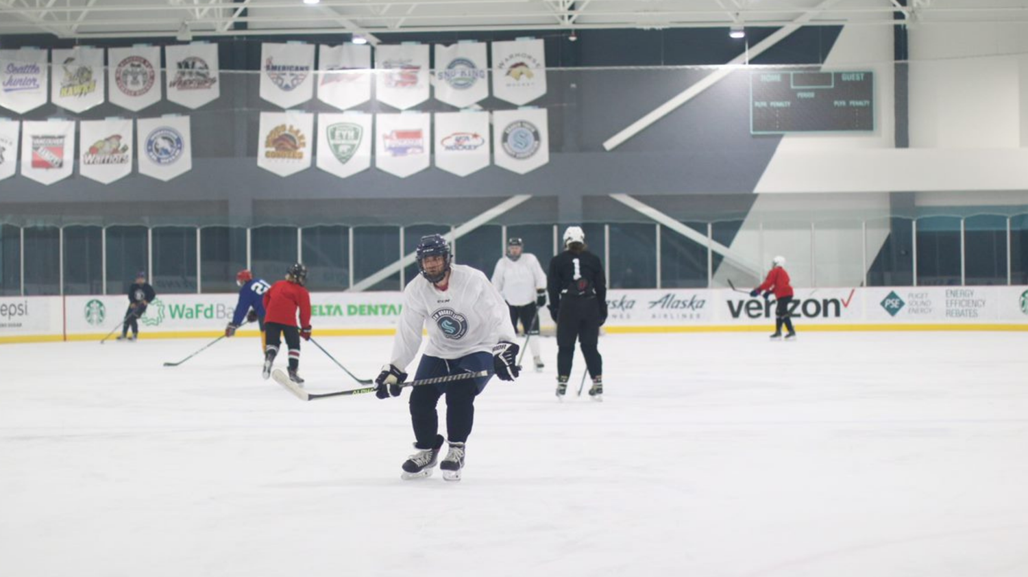 Stick and Puck 1