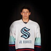 Henderson 16U AAA