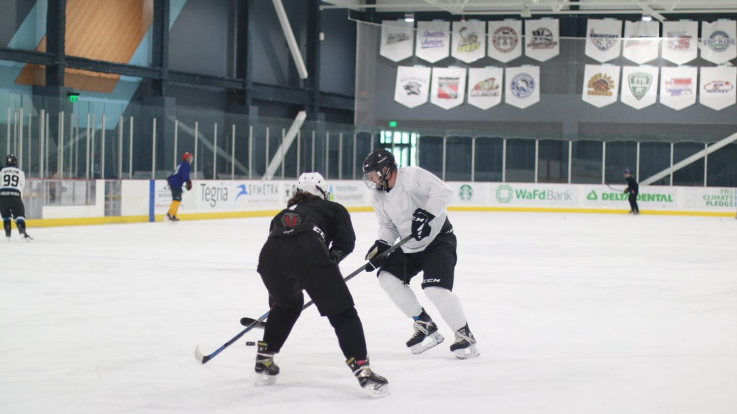 Stick and Puck 2