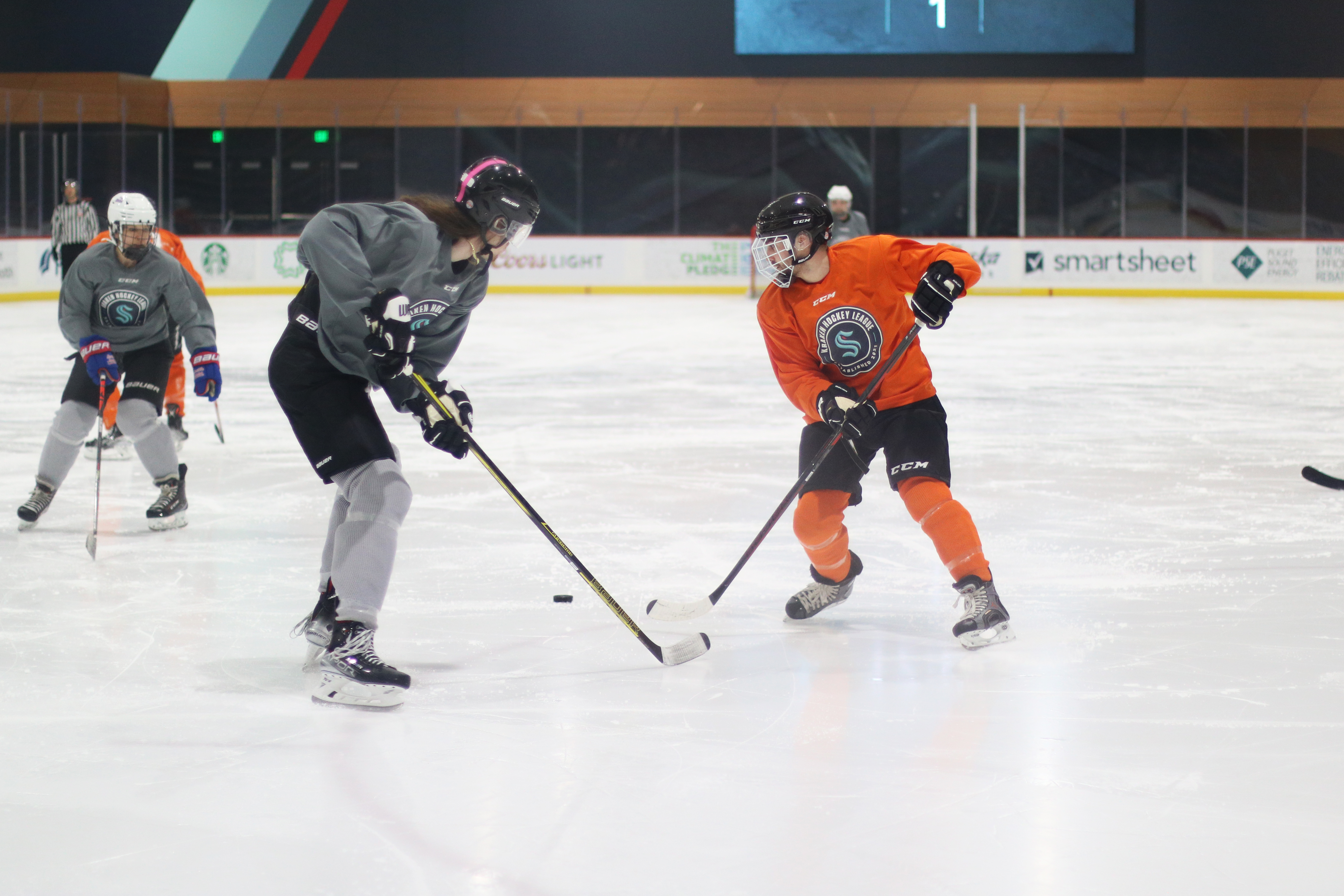 Adult Hockey Leagues